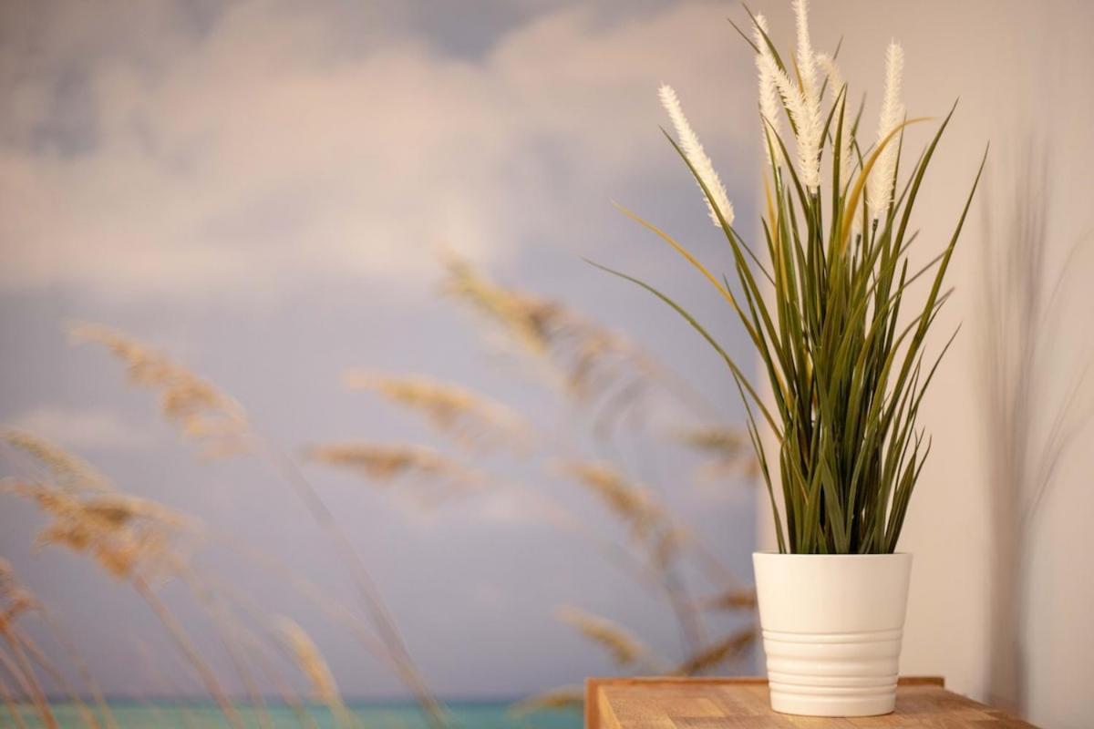 -malagasunapts- Stylish Centre Pool&parking